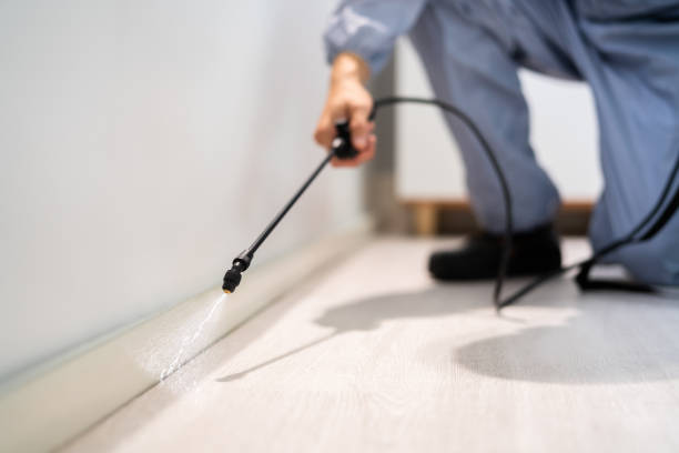 Professional exterminator conducting IPM assessment in Caddo